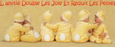 une phrase a lire et comprendre